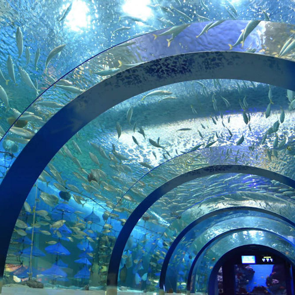 Asamushi Aquarium