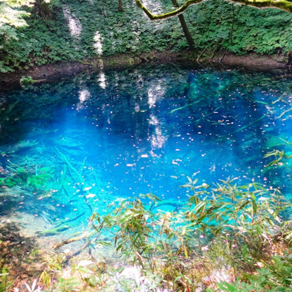 青池/十二湖