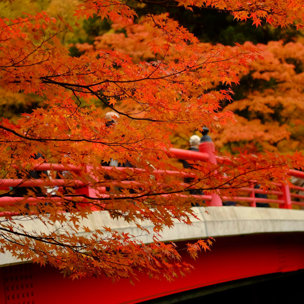 Nakano Momijiyama