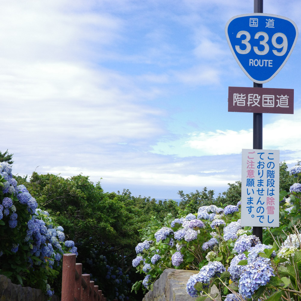 階段国道339号