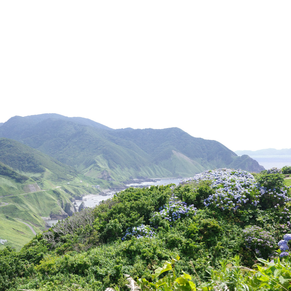 龍飛崎 (龍飛岬)