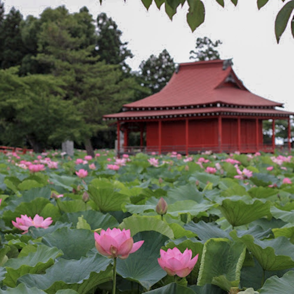 猿賀神社