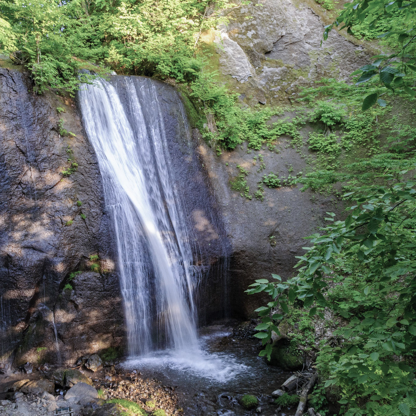 Misuzu Great Falls