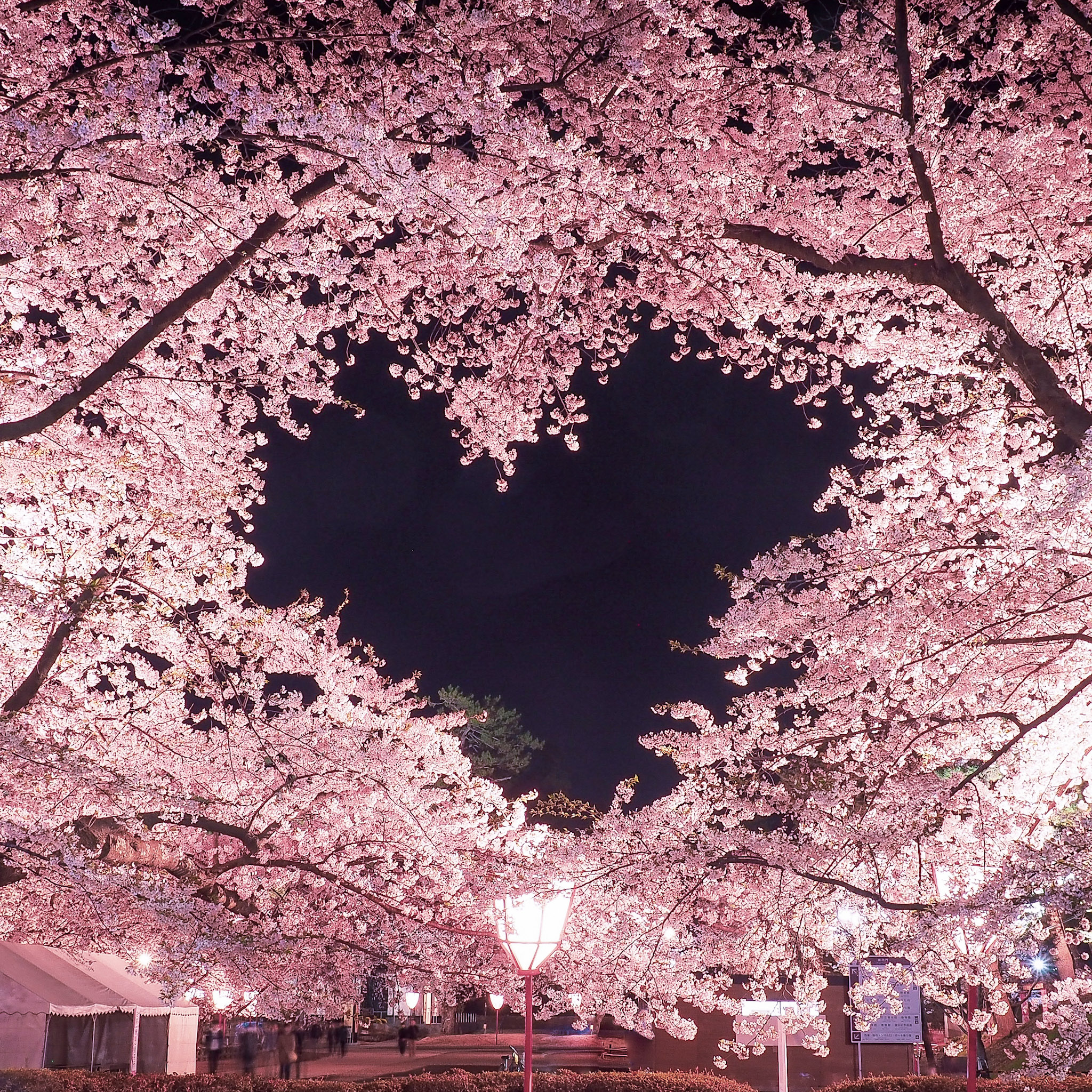 Hirosaki Park/Hirosaki Castle