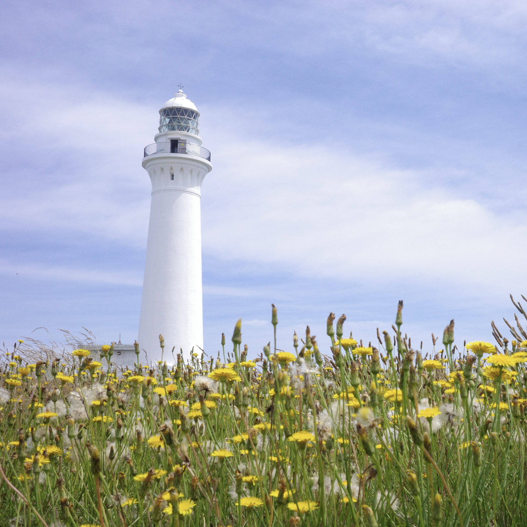 Shiriyazaki Lighthouse